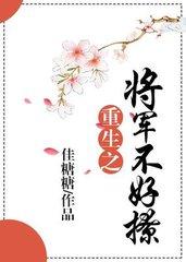 重生之将军太难追小说