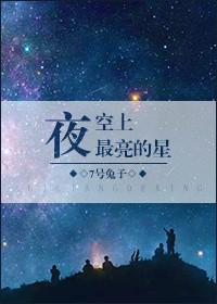 夜空上最亮的星小说全文免费阅读