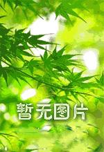 继父