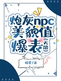 炮灰npc美貌值爆表（无限）