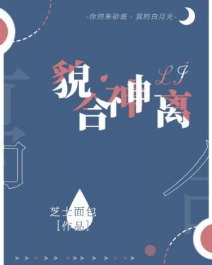 貌合神离