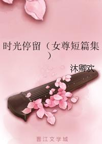 时光停留（女尊短篇集）